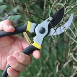 Ressorts De Sécateur De Volute, Ressort De Volute De Rechange, Pièces De Ressort De Sécateur De Jardin En Acier Inoxydable, Accessoires D'outils De Jardinage De Ressorts De Rechange, Triomphe 5 Pièces 8 Ressorts De Sécateur De Volute, Ressort De Volute De Rechange, Pièces De Ressort De Sécateur De Jardin En Acier Inoxydable, Accessoires D'outils De Jardinage De Ressorts De Rechange, Triomphe 5 Pièces -Outils Magie Soldes Boutique 42728528 4