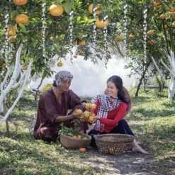 Répulsif Oiseaux Effaroucheur Oiseaux Spirale Répulsif Réfléchissants Spirale Oiseaux Tiges Spiralées En Plastique épouvantail Effaroucheur D'oiseaux Moderne Pour Potager Ferme Jardin Triomphe 8 Pcs -Outils Magie Soldes Boutique 46544280 4