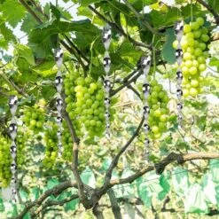 Répulsif Oiseaux Effaroucheur Oiseaux Spirale Répulsif Réfléchissants Spirale Oiseaux Tiges Spiralées En Plastique épouvantail Effaroucheur D'oiseaux Moderne Pour Potager Ferme Jardin Triomphe 8 Pcs -Outils Magie Soldes Boutique 46544280 5