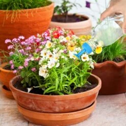 LTS FAFA 4 Pcs Srroseur Bouchon De Bouteille,Bouchon De La Bouteille,Arroseur Mini Bouteille Arrosage,Bonsai Arrosoir Tête D'arrosage Pour Arroseur Pour Arrosoir D'intérieur,semis,plantes Et Jardin (A -Outils Magie Soldes Boutique 56370720 4