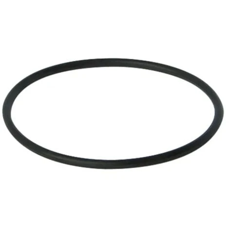 Joint Torique Diamètre 75 Pour Fermeture Anti-odeurs WEDI FUNDO RIOLITO WEDI 1 Joint Torique Diamètre 75 Pour Fermeture Anti-odeurs WEDI FUNDO RIOLITO WEDI