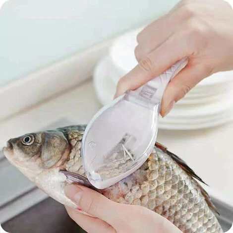 Grille Portative à Racloir En Plastique à L'échelle Du Poisson Pour Le Décapage Rapide, Avec Boîte De Rangement Pour Le Nettoyage De L'artisanat De Cuisine Domestique 1pcs (blanc) 3 Grille Portative à Racloir En Plastique à L'échelle Du Poisson Pour Le Décapage Rapide, Avec Boîte De Rangement Pour Le Nettoyage De L'artisanat De Cuisine Domestique 1pcs (blanc) – Image 3
