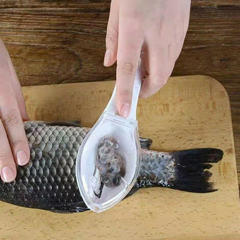 Grille Portative à Racloir En Plastique à L'échelle Du Poisson Pour Le Décapage Rapide, Avec Boîte De Rangement Pour Le Nettoyage De L'artisanat De Cuisine Domestique 1pcs (blanc) 4 Grille Portative à Racloir En Plastique à L'échelle Du Poisson Pour Le Décapage Rapide, Avec Boîte De Rangement Pour Le Nettoyage De L'artisanat De Cuisine Domestique 1pcs (blanc) – Image 4